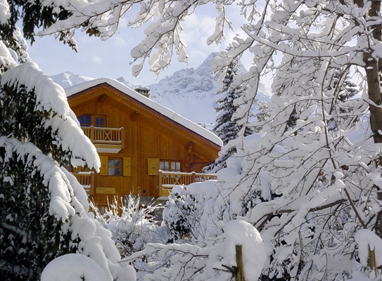 Tree View At Our Luxury Ski Chalet Tomkins In Meribel