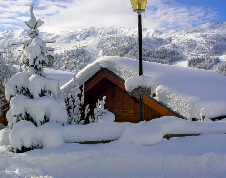 Front Exterior View Of Luxury Ski Chalet Bartavelles In Meribel