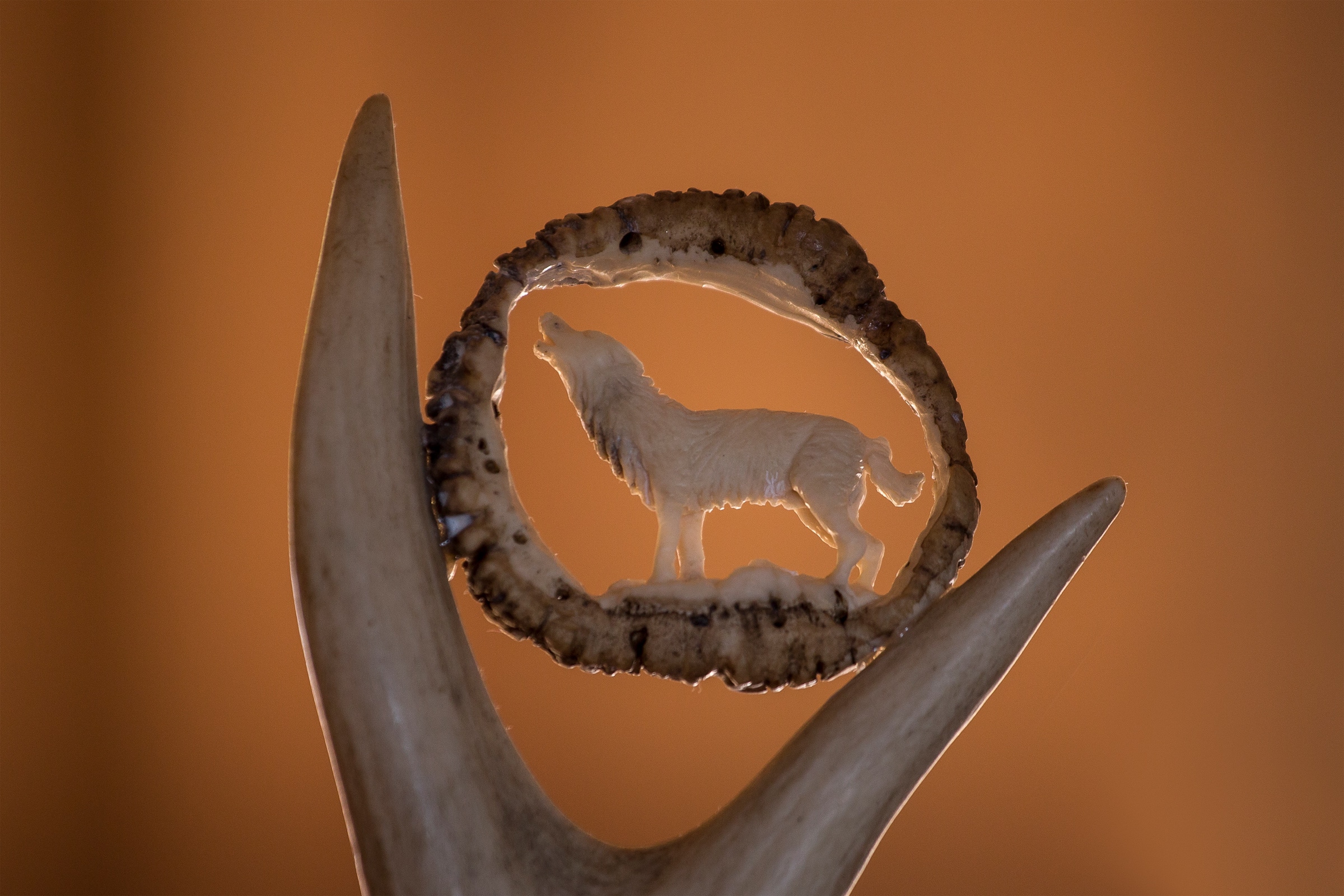 The Loup Blanc Luxury Ski Chalet Loup Blanc Courchevel Le Praz