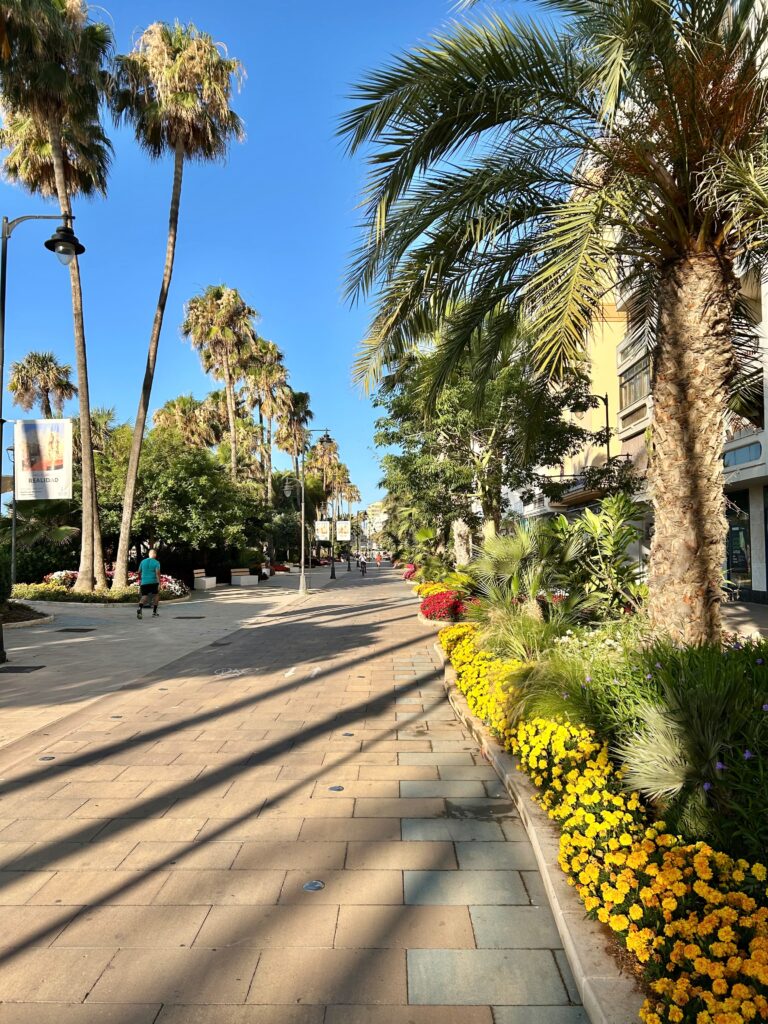 Estepona Beach Cycle path