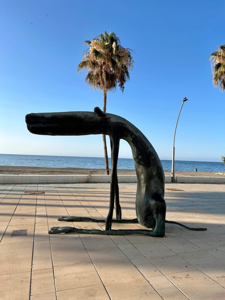 Estepona Beach Dog